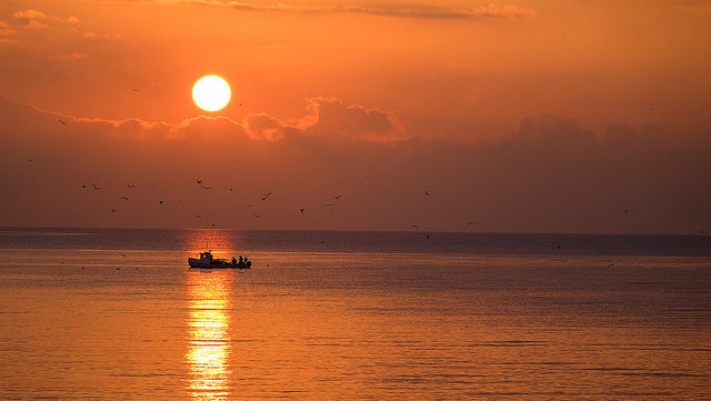 31577860446_3886c58ed4_z